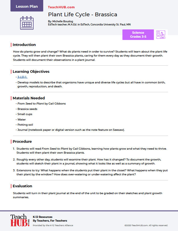 Plant Life Cycle Brassica TeachHUB