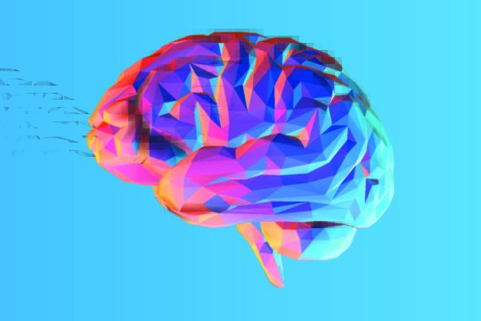 Colorful, graphic brain on a blue background.